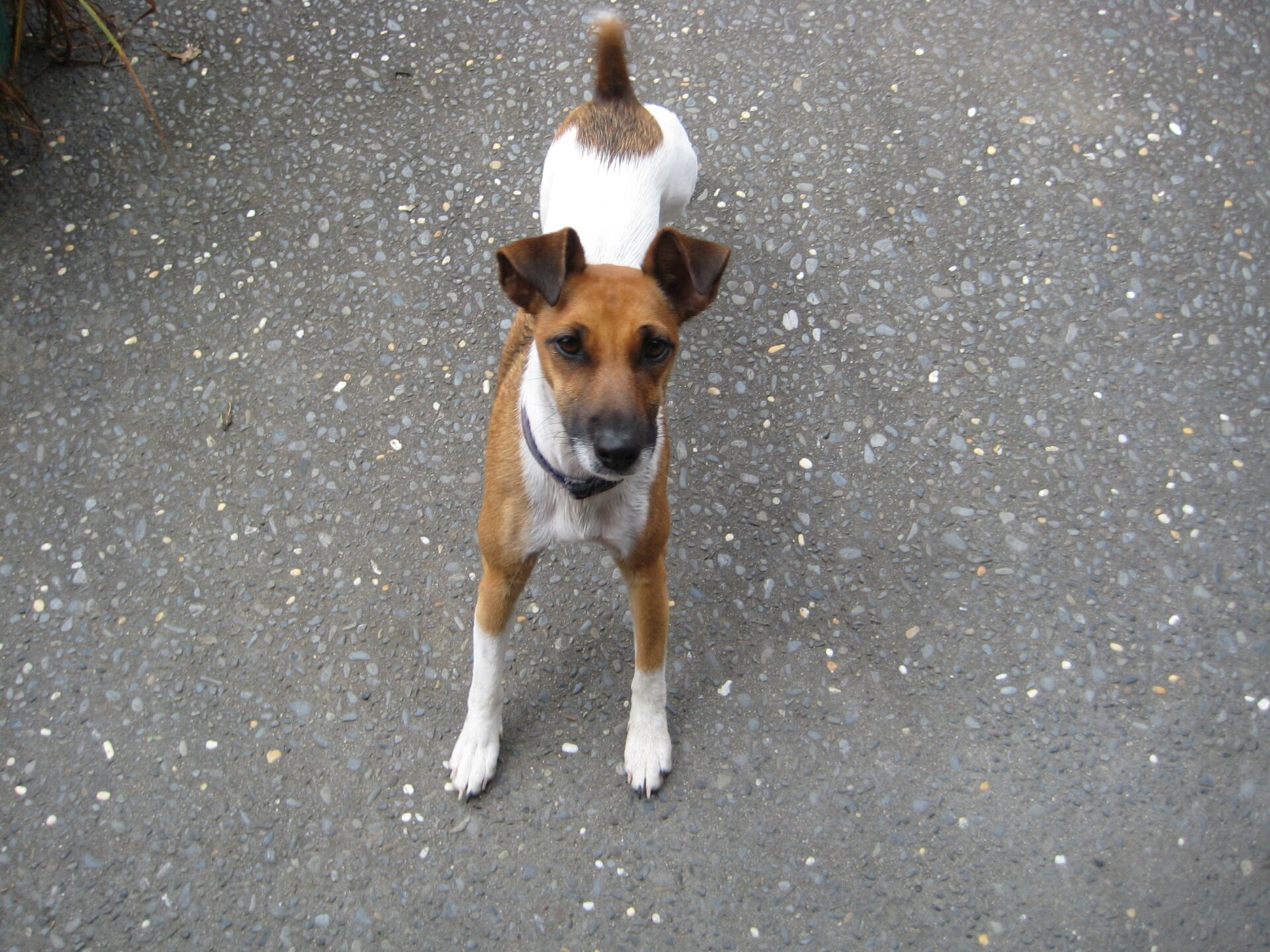 Lena says congratulations