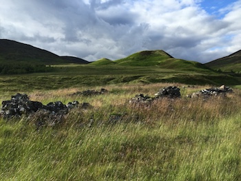 WIP Somewhere Called Home