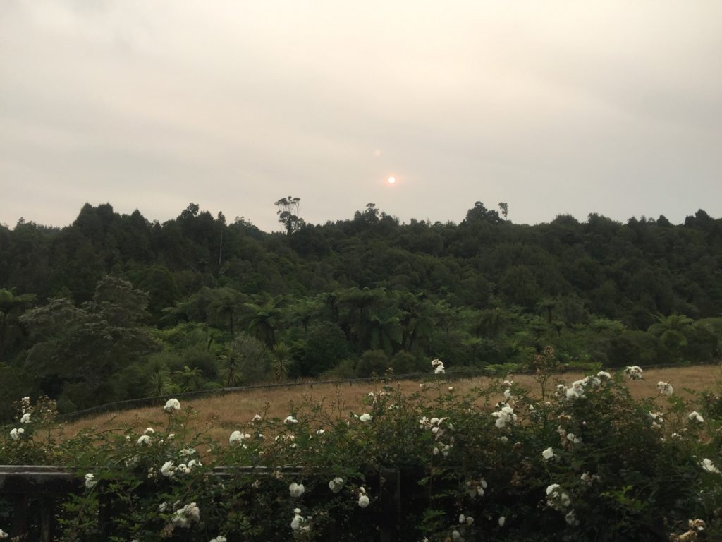 Pink sunspot at sunrise 2 Jan