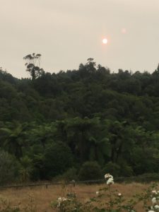 Pink Sun from Australia Fires in NZ's Atmosphere