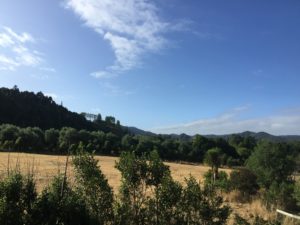 dry in nz Read an Ebook Week2