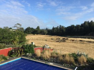 dry in nz Read an Ebook Week