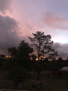 sunset Read an Ebook Week