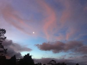 sunset Read an Ebook Week3