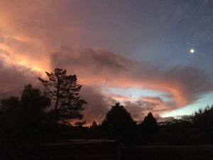 sunset Read an Ebook Week2